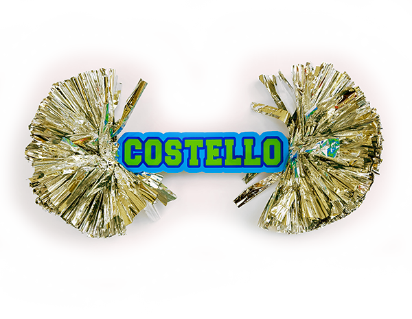 a-pretty-sunset-home-shop-cheer-sticks-costello-gray
